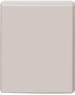PicoCell AP-2400/5500-5 OD MIMO