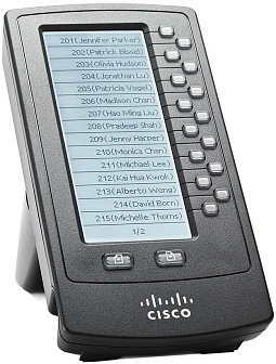 Cisco SPA500DS